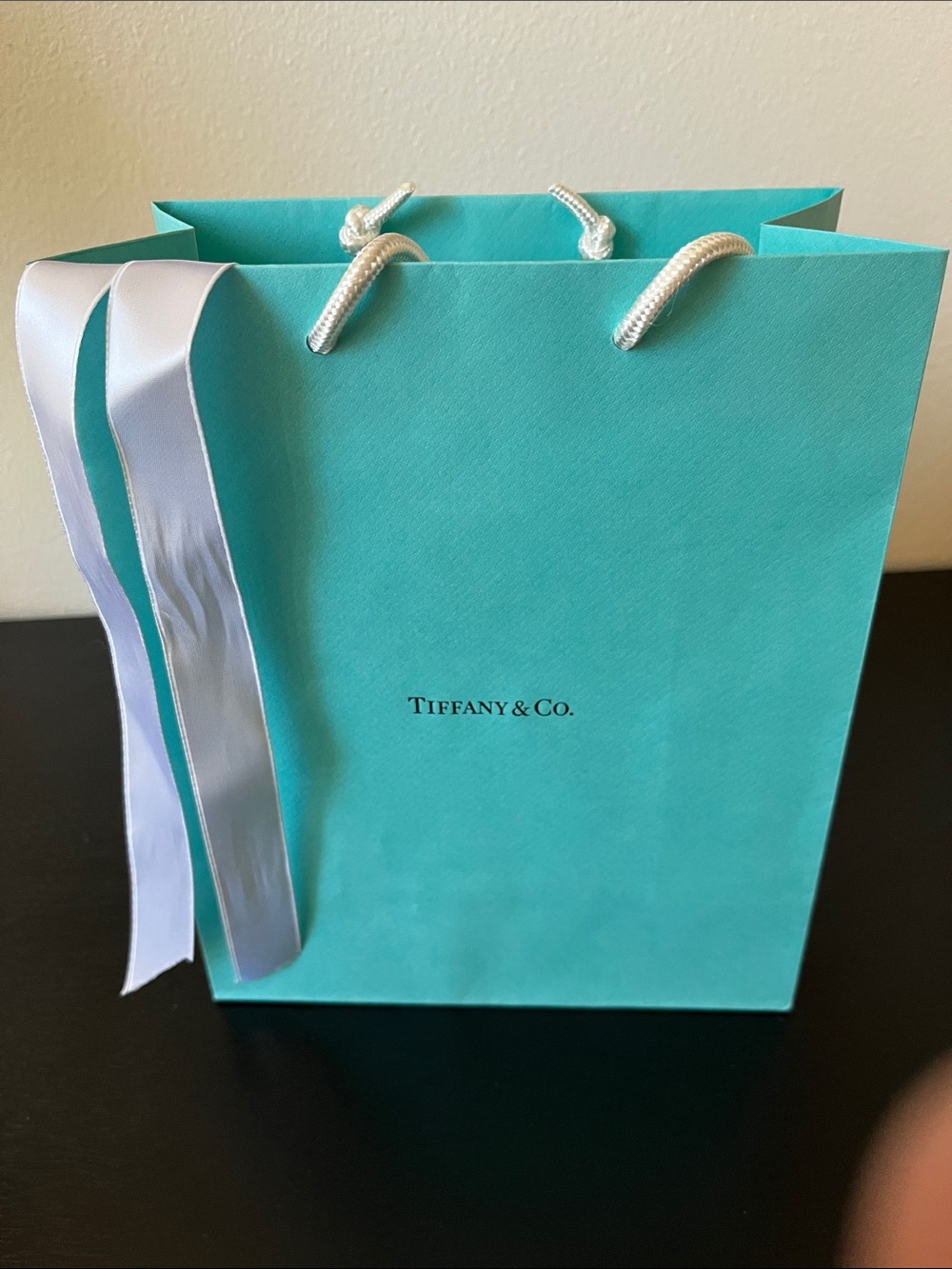 Tiffany & Co. Robin's Egg Blue Shopping Bag with White Ribbon
